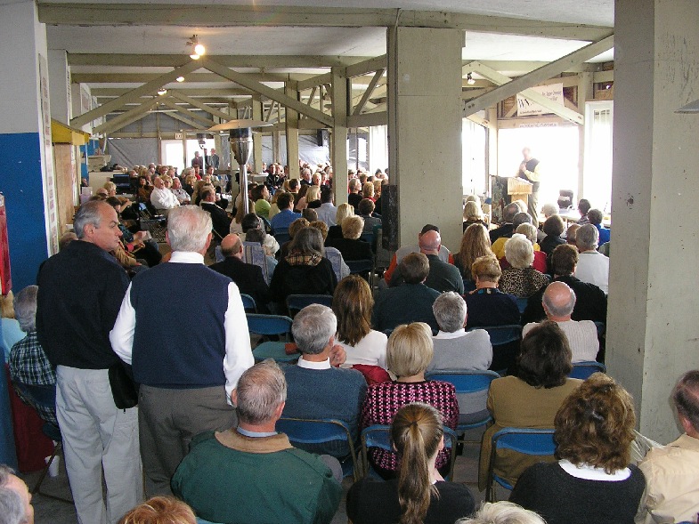 crowd1